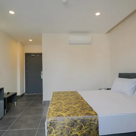 Blue Serenity シダ